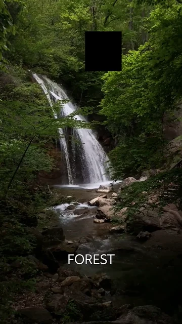 Shared exported video