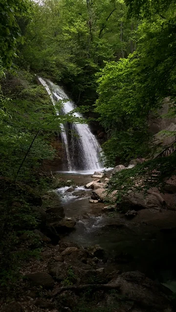 Portrait video of a waterfall in a green forest